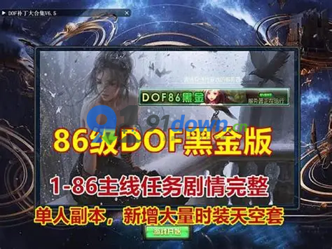 DNF86黑金单机版11版女鬼剑5职业魔枪士3职业徽章镶嵌幻化护石-91down.cn — 就要下载,久忆不删
